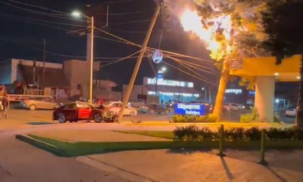 Saltillo: Auto se estampa contra poste y genera incendio en un árbol de Periférico