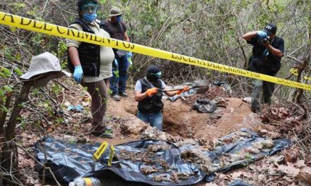 2022 es el año en que se encontraron más fosas clandestinas en Jalisco