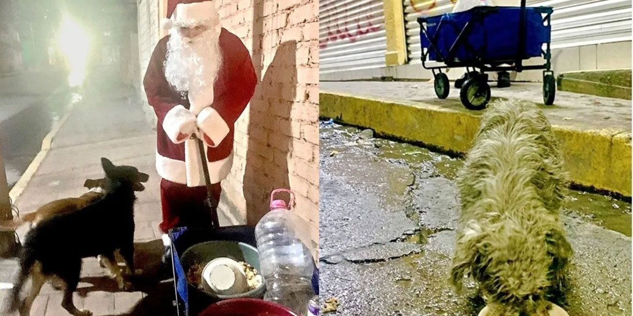 Vecino se disfraza de Santa y regala cena navideña a los perritos de Ecatepec