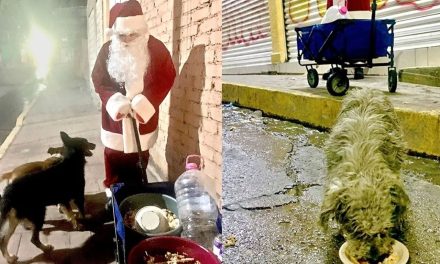 Vecino se disfraza de Santa y regala cena navideña a los perritos de Ecatepec