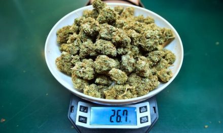 ¿Doritos de mariguana? en alerta por menores de 6 años expuestos a la cannabis en EU