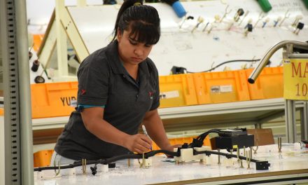 SNE realiza primera jornada del empleo; pocos saltillenses acuden