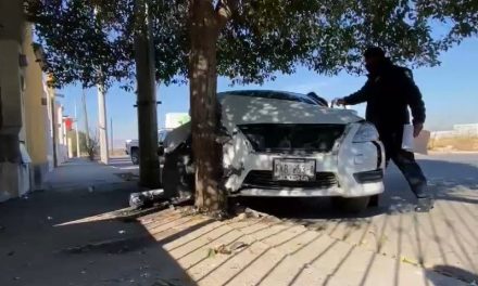 Madre e hijo se impactan contra un árbol en Saltillo