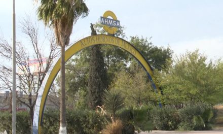 IMSS seguirá atendiendo a empleados de AHMSA