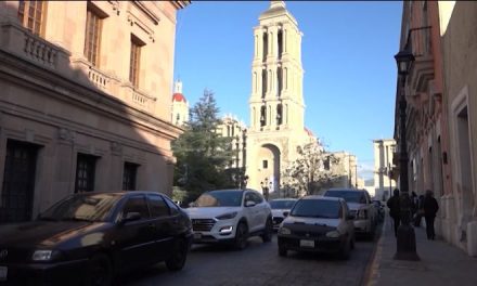 Realiza Ayuntamiento de Saltillo manejo de árboles en calles del proyecto Paseo Capital