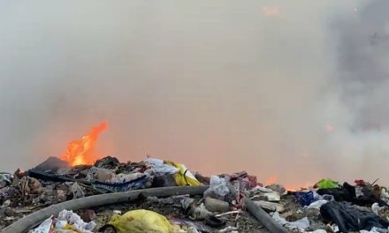 Quemaban basura y se les salió de control en Saltillo