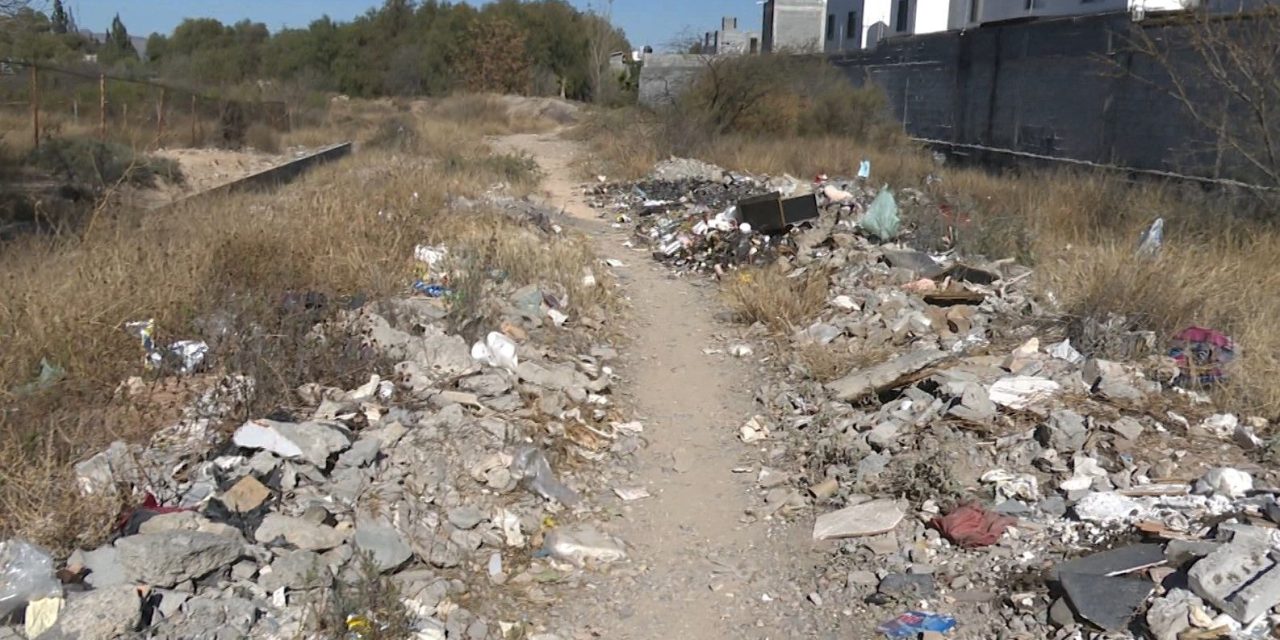 Convierten en basureros callejones de la Morelos