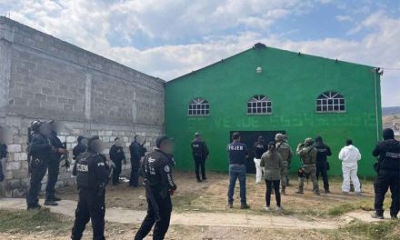 Hallan en el Edomex 26 bolsas con restos humanos
