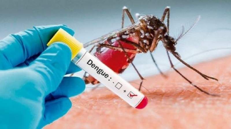 Inician campaña contra el dengue en Coahuila