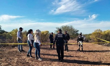 Hallan cuatro cuerpos en fosa de Zacatecas, corresponden a tres mujeres y un hombre