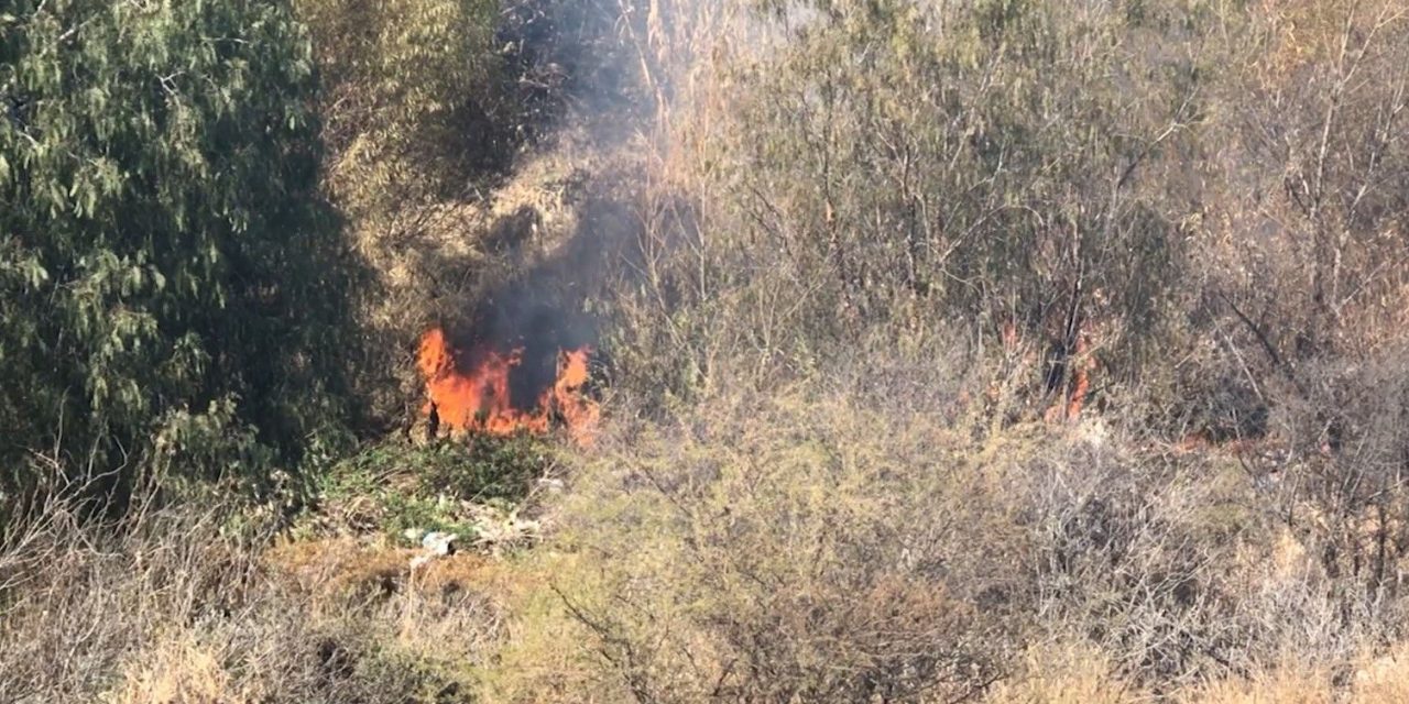 Las heladas dejan material combustible en la Sierra de Coahuila