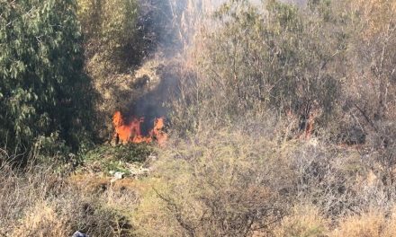 Las heladas dejan material combustible en la Sierra de Coahuila