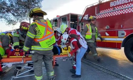 Joven termina atrapada al interior de su auto tras impactarse contra un árbol en Saltillo