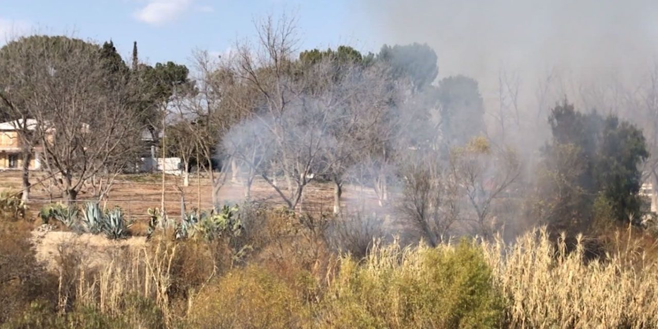 Saltillo: Se quemó arroyo el Pituchín