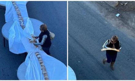 Video: Récord Guinness de la rosca más larga casi es arruinada… ‘Lady Rosca’ se robó un pedazo en Mexicali