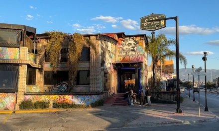 Suspenden actividades de bar Sayulita tras fuerte riña el fin de semana