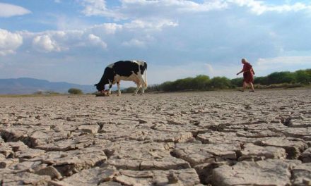 Panorama complicado, Conagua pronostica sequía en la Región Centro