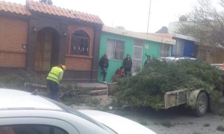 Causan estragos rachas de fuertes vientos en Saltillo; llegan a los 70 km por hora