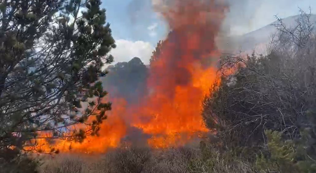 Suman esfuerzos contra los incendios forestales