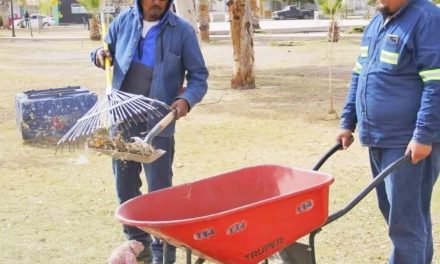 En Torreón hacen composta con restos de poda