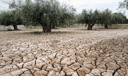 Prevén más sequía en la región Carbonífera