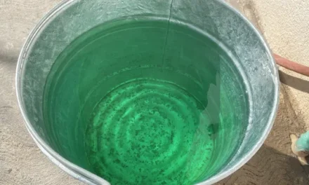 Señalan a culpables de envenenar agua de Arteaga
