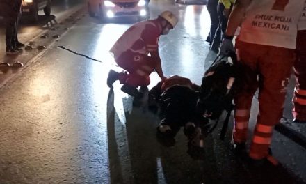 Saltillo: Salta de puente en Luis Echeverría y acaba con su vida; fue atropellado antes de tocar el suelo