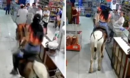 ¡Ajúa! Mujer entra a comprar a una tienda con todo y caballo (video)