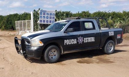 Hombres armados llegan a fiesta familiar en Sonora y se llevan a 11 personas… localizan a 8 que fueron golpeados
