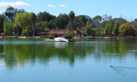 Saltillo: Se quedan familias sin disfrutar de la deportiva, iban a aprovechar el día de asueto