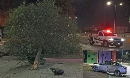 Mujer se queda dormida; derriba árbol y luminaria en la Gran Plaza de Saltillo