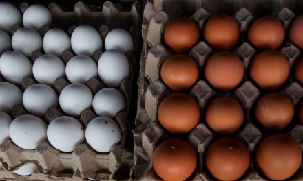Malas noticias: el precio del huevo no bajará a corto plazo