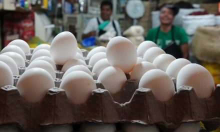 Por inflación y gripe aviar, estadounidenses compran huevos en México
