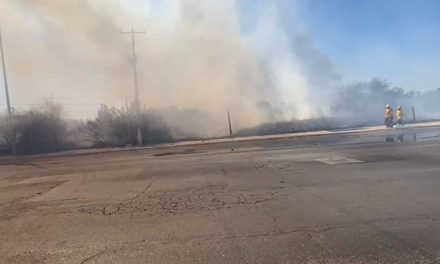 Saltillo: Se registra incendio en Jardines Coloniales, cerca de los ductos de Pemex
