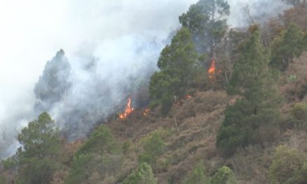 Por sequía, temporada sería compleja con incendios forestales en Coahuila