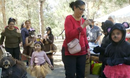 Celebran Día Internacional de los Osos con un concurso de disfraces en el Bosque Urbano