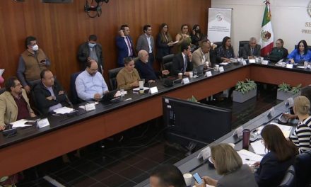 Aprueban en comisiones del Senado plan B; ‘vida eterna’ a partidos queda fuera