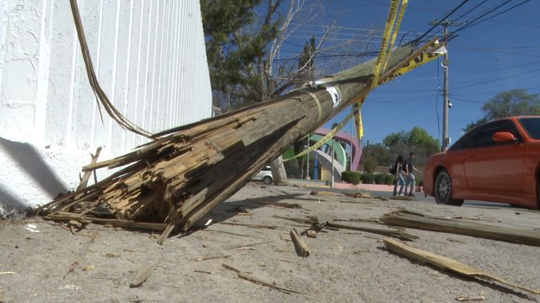 Poste derribado representa riesgo para alumnos de Unidad Camporredondo de Saltillo