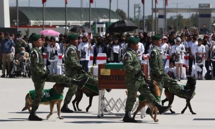 ‘Misión cumplida’: Homenajean a Proteo, perrito rescatista que murió en Turquía