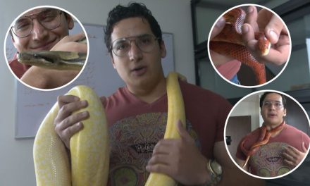 El extraño hábito de coleccionar serpientes de un joven saltillense