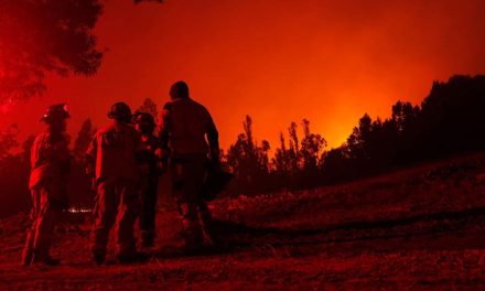 180 brigadistas mexicanos en control de incendios son enviados a Chile