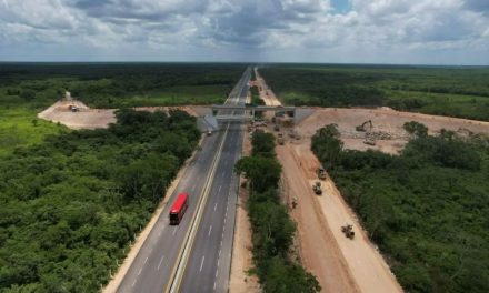 Frenan con amparo obra del Tren Maya en el Tramo 5 Sur y Norte