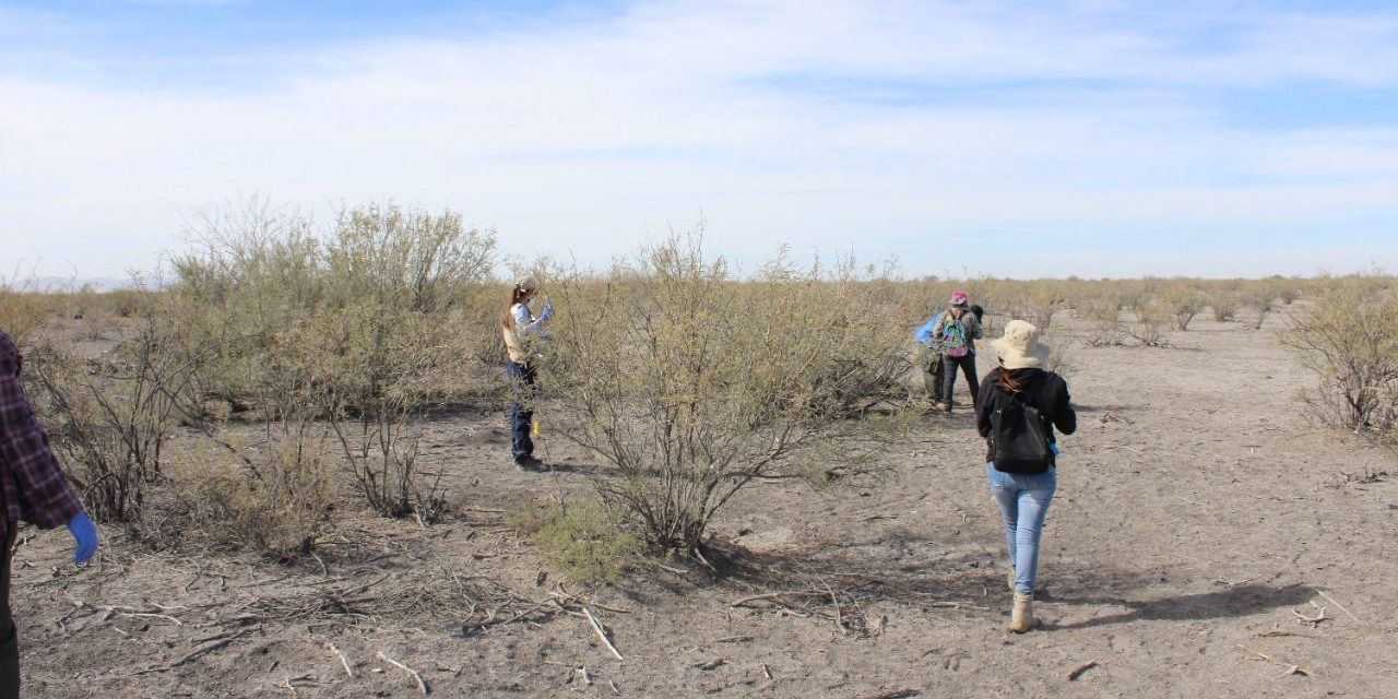 Localizan más de 50 fosas en Coahuila