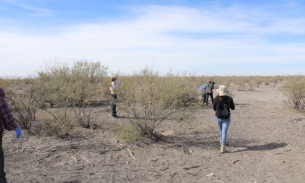Localizan más de 50 fosas en Coahuila