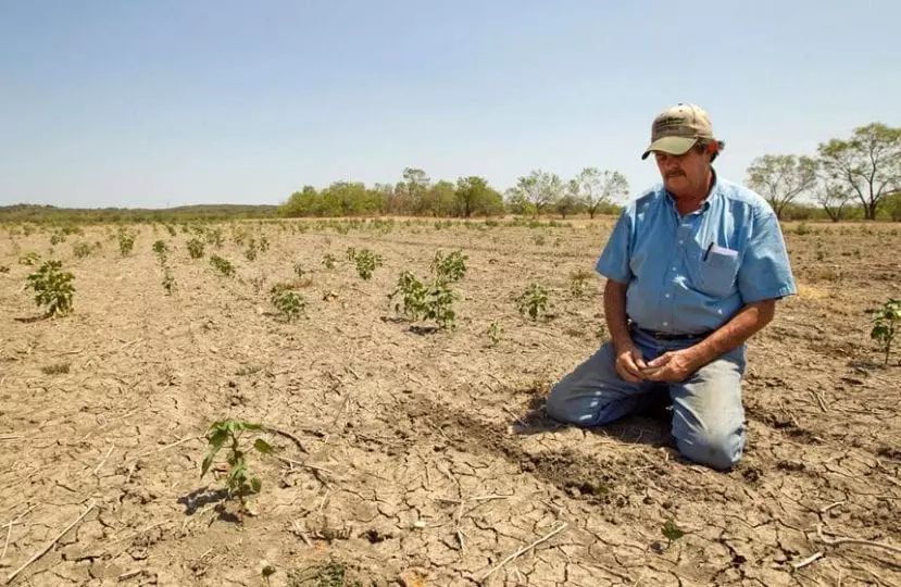 Conaza deja en total desamparo a campesinos de Coahuila