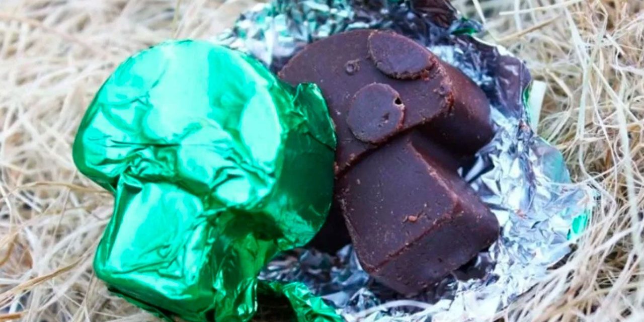 Alertan a saltillenses sobre el consumo de Chocohongo