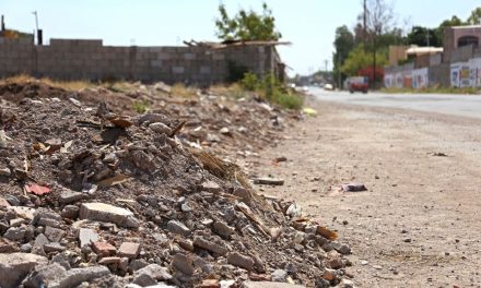 Invitan a limpiar predios de Torreón