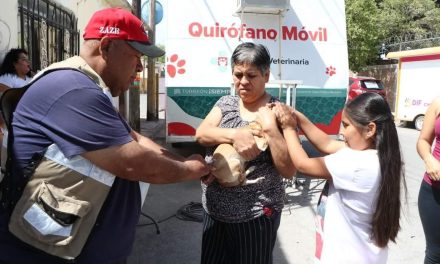 Anuncian campaña de esterilizaciones en Torreón