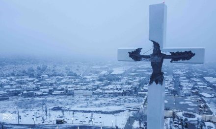 Saldo blanco deja el frente frío 41 en Coahuila