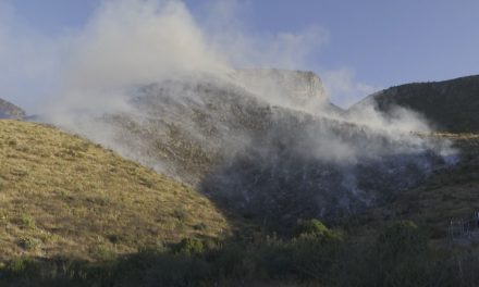 Están en riesgo bosques de Coahuila; están las condiciones para que se registren incendios